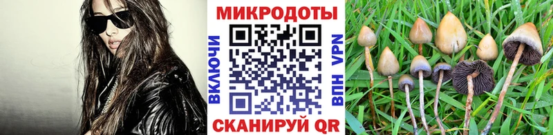 hydra ONION  Белинский  Псилоцибиновые грибы прущие грибы 